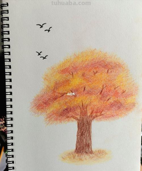 彩铅秋天风景画怎么画 初中秋天的一棵树彩铅画？