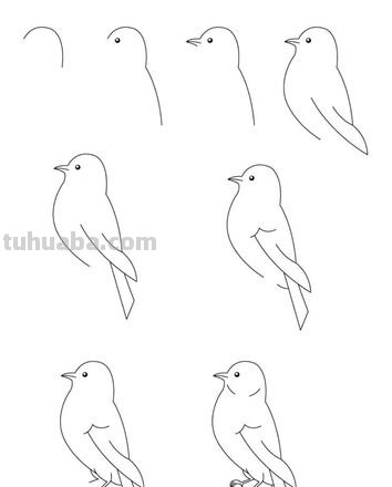 小鸟怎么画简笔画步骤 怎样画鸟【简笔画】？