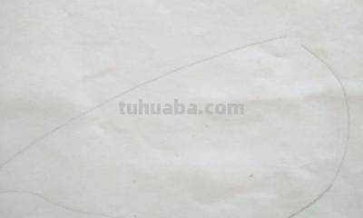 小鸟怎么画简笔画步骤 怎样画鸟【简笔画】？