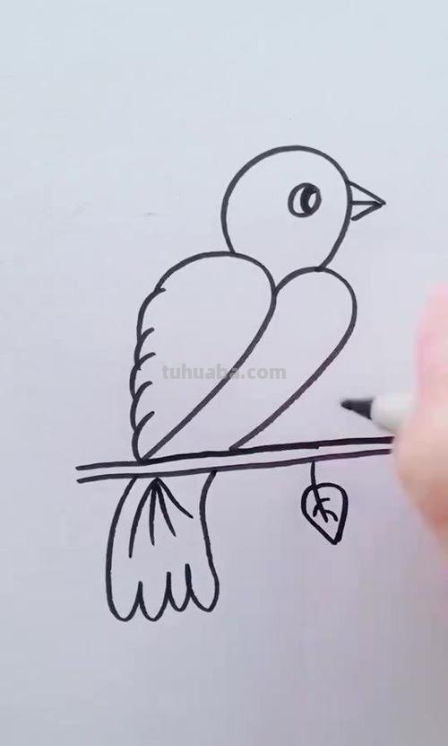 小鸟怎么画简笔画步骤 怎样画鸟【简笔画】？