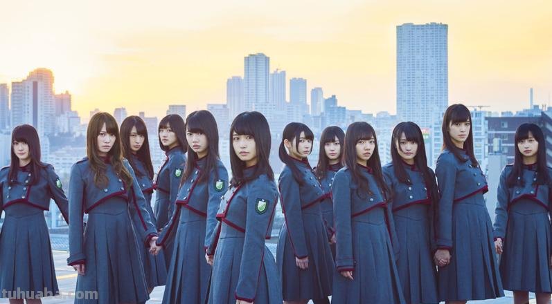 櫸坂46 欅坂46是啥