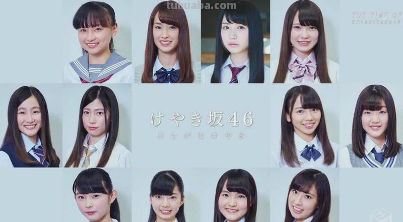 櫸坂46 欅坂46是啥