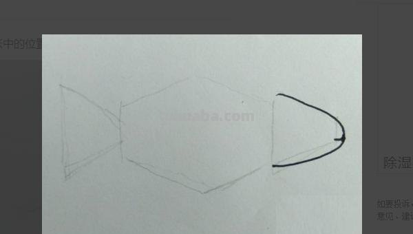 鱼怎么画图片简笔画 儿童绘画：如何画美丽的小鱼？