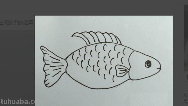 鱼怎么画图片简笔画 儿童绘画：如何画美丽的小鱼？