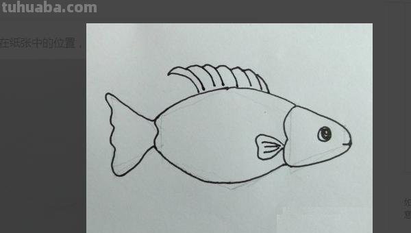 鱼怎么画图片简笔画 儿童绘画：如何画美丽的小鱼？