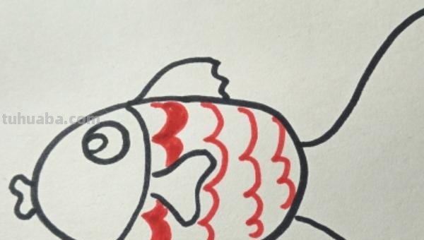 鱼怎么画图片简笔画 儿童绘画：如何画美丽的小鱼？