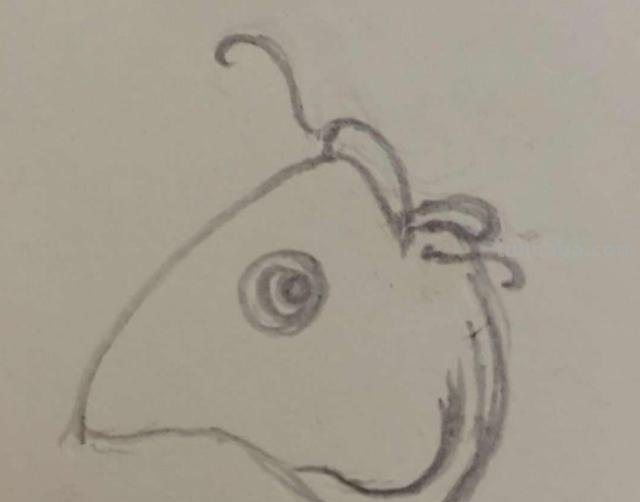 鱼怎么画图片简笔画 儿童绘画：如何画美丽的小鱼？