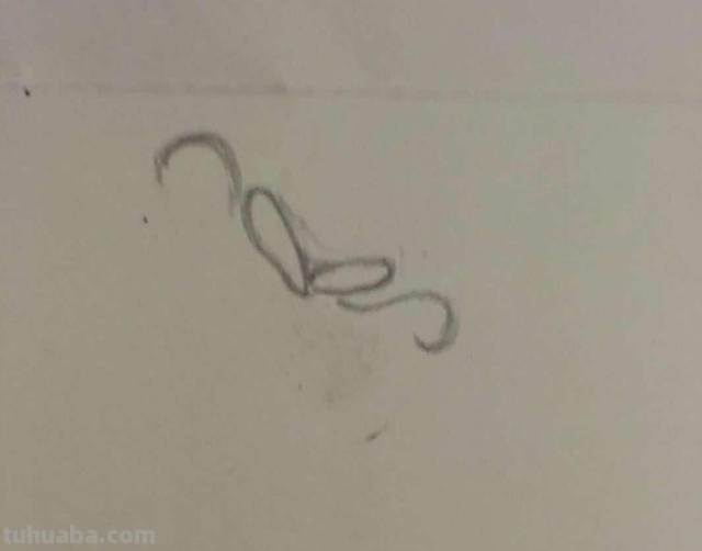 鱼怎么画图片简笔画 儿童绘画：如何画美丽的小鱼？
