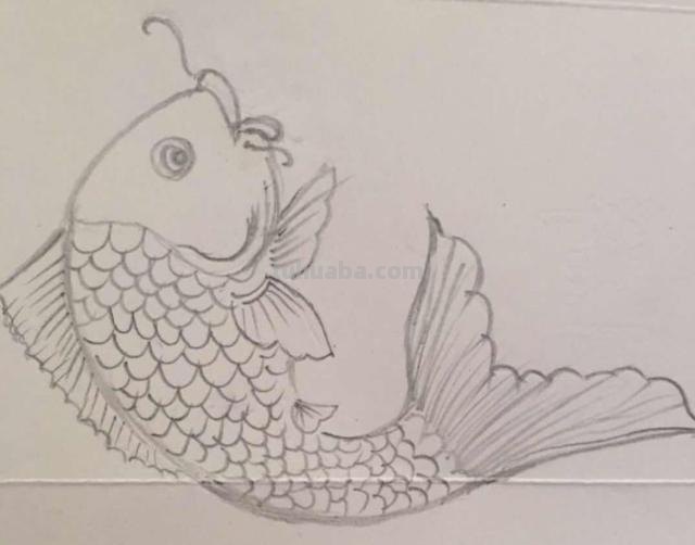 鱼怎么画图片简笔画 儿童绘画：如何画美丽的小鱼？
