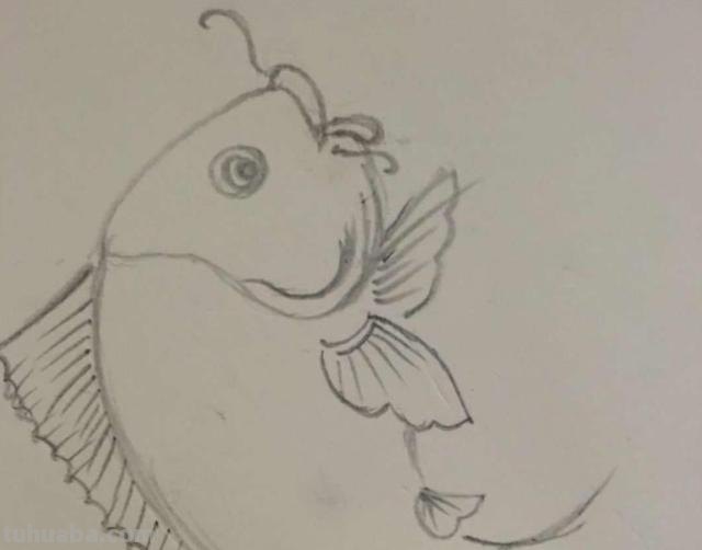 鱼怎么画图片简笔画 儿童绘画：如何画美丽的小鱼？
