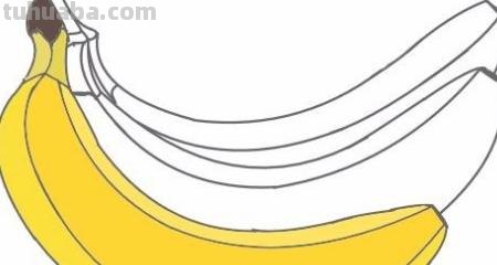 怎么画香蕉的简笔画 怎么画出一把香蕉？
