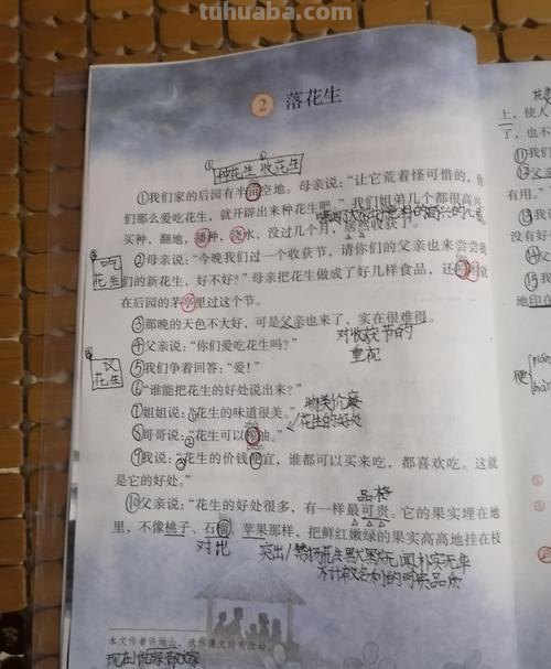 落花生的读书卡怎么写 五年级上册语文落花生好词好句？
