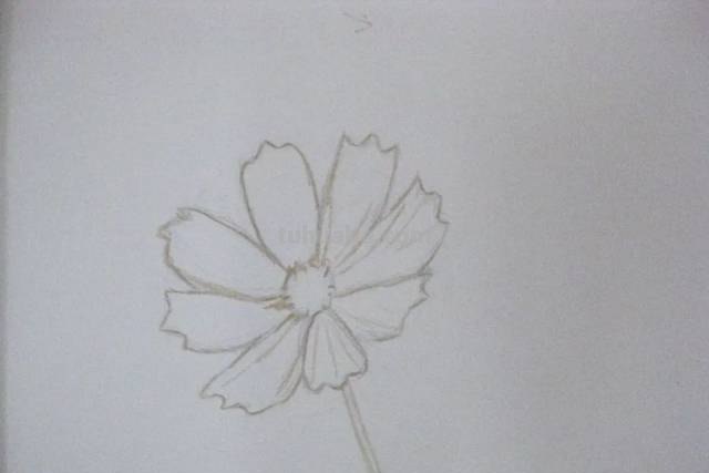 花仙子怎么画简笔画 简笔画小仙女的画法？