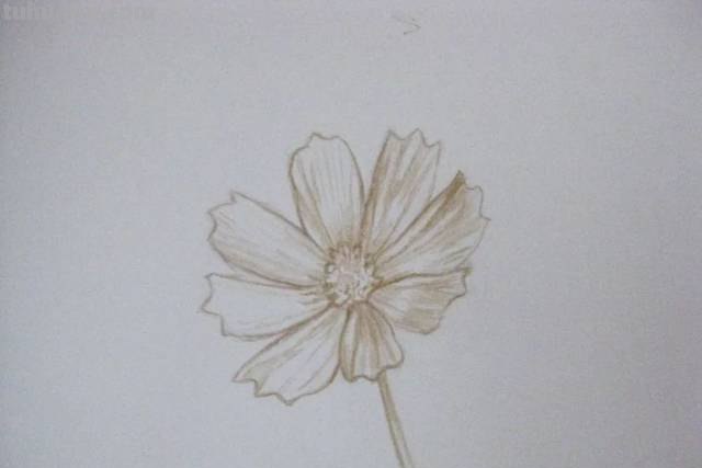 花仙子怎么画简笔画 简笔画小仙女的画法？
