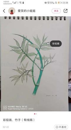 竹子怎么画用彩铅画的 怎样用铅笔画竹子？