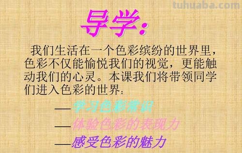 亮丽色彩与其近义词的魅力：让世界多姿多彩 