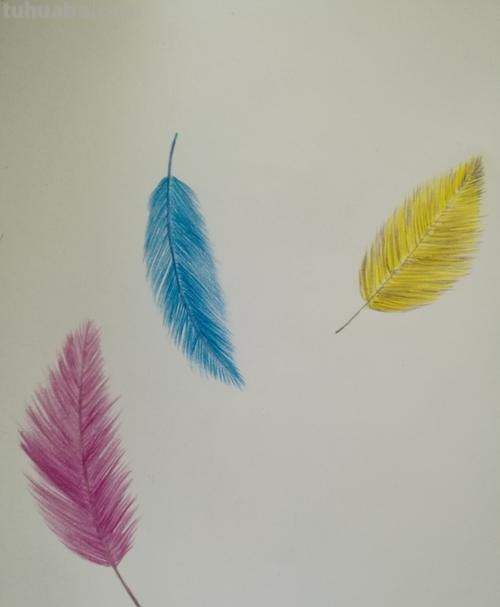 彩铅画的渐变羽毛怎么画 0号马克笔怎么渐色？