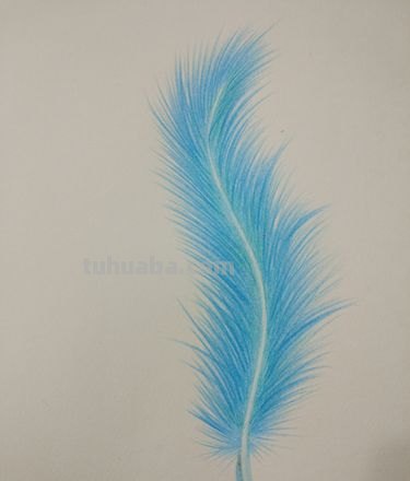 彩铅画的渐变羽毛怎么画 0号马克笔怎么渐色？