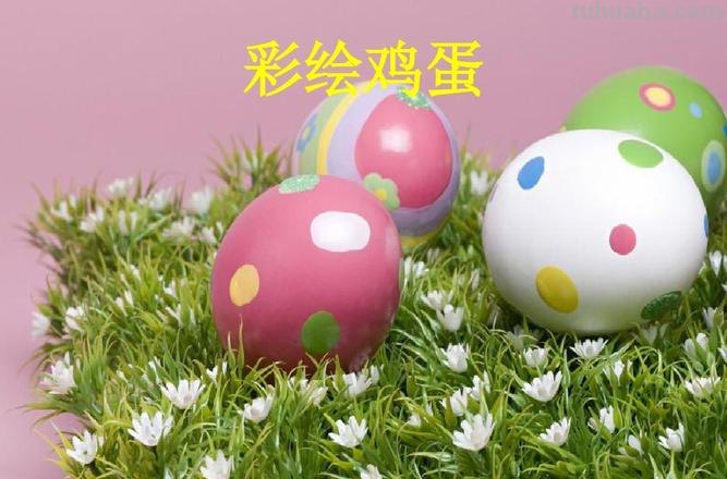 鸡蛋色彩画：探索独特的创作方式 