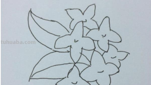 怎么画丁香花简笔画 丁香花染色方法？