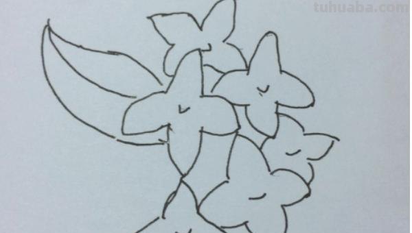怎么画丁香花简笔画 丁香花染色方法？