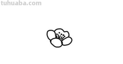 梅花怎么画简笔画图片 怎么画梅花的简笔画？