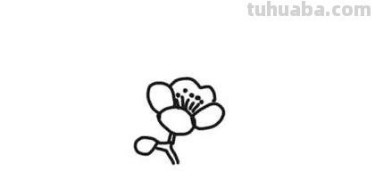 梅花怎么画简笔画图片 怎么画梅花的简笔画？