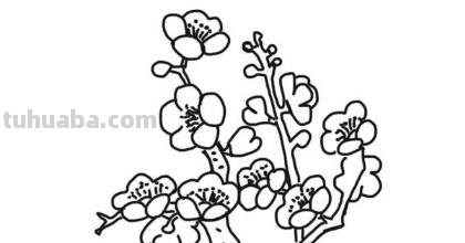 梅花怎么画简笔画图片 怎么画梅花的简笔画？