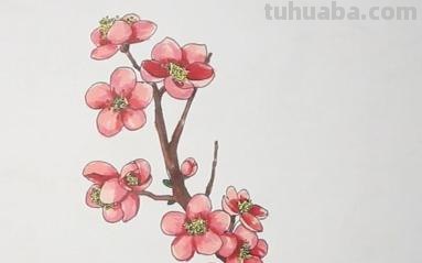 梅花怎么画简笔画图片 怎么画梅花的简笔画？
