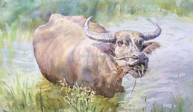 牛色彩画：用色彩展现牛的魅力 