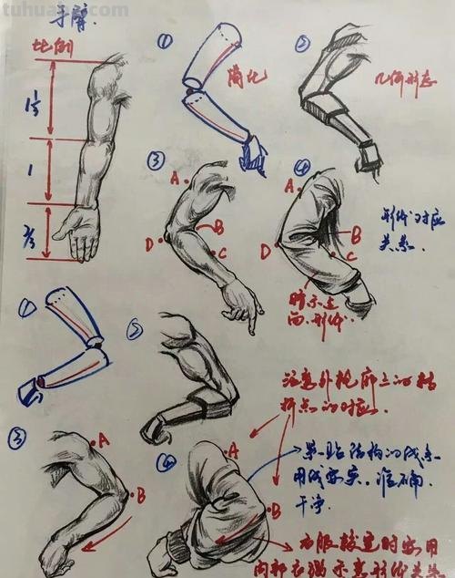 速写正面胳膊 速写人物胳膊弯曲侧面的画法？