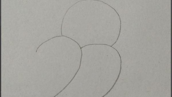 彩铅画树上的小鸟怎么画 小鸟的简单画法？