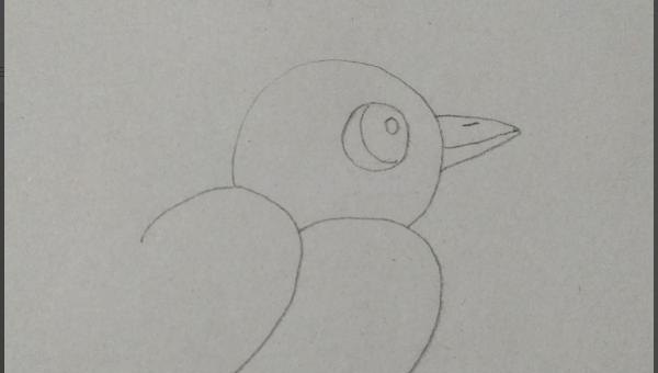 彩铅画树上的小鸟怎么画 小鸟的简单画法？