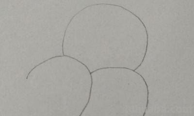 彩铅画树上的小鸟怎么画 小鸟的简单画法？