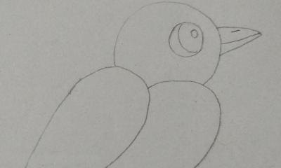 彩铅画树上的小鸟怎么画 小鸟的简单画法？