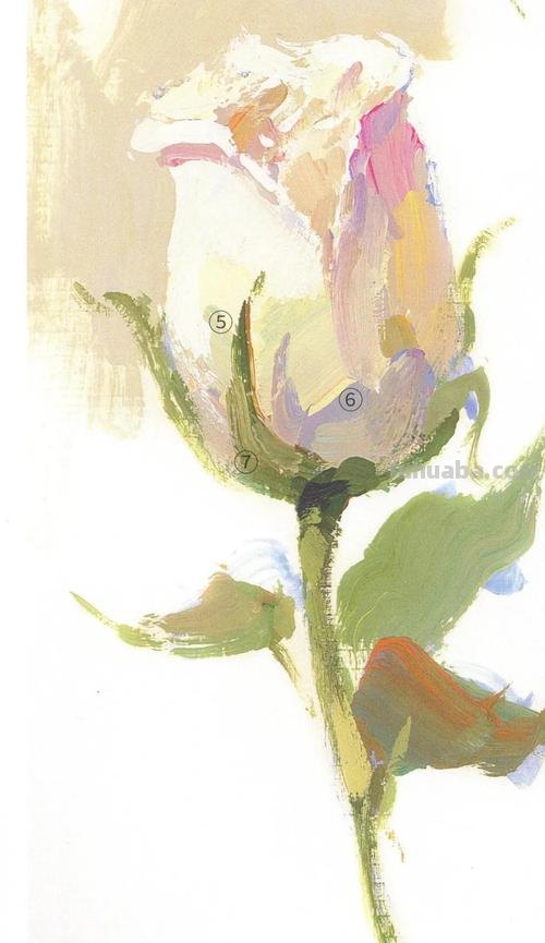 色彩花卉画法及色彩花卉画法步骤 