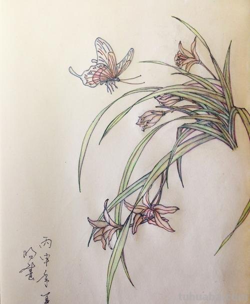 彩铅画国画怎么画才好看 怎样画彩铅画？