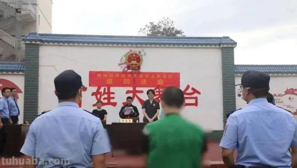 室内种植64株！童某达，被判刑！
