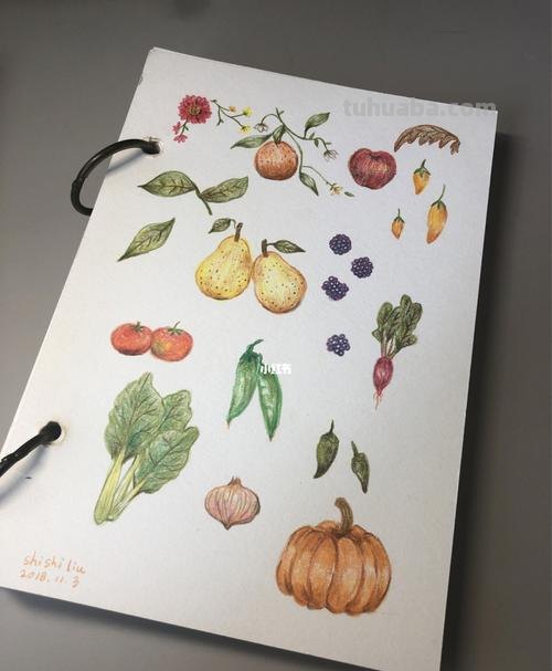 彩铅画花和水果怎么画 水果蔬菜彩铅画教程？
