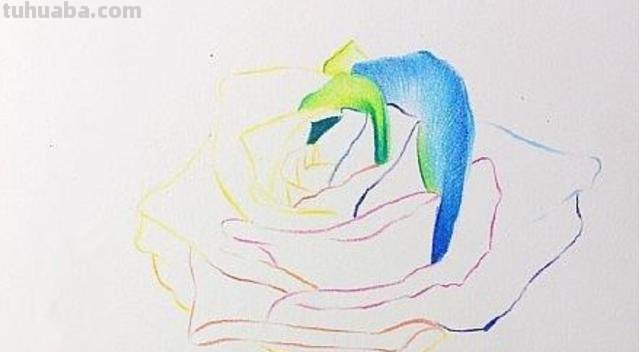 彩铅画花和水果怎么画 水果蔬菜彩铅画教程？