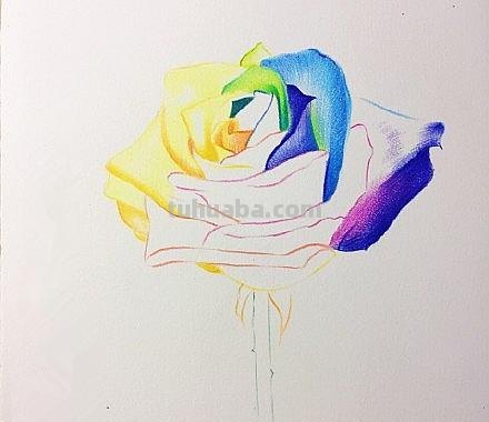 彩铅画花和水果怎么画 水果蔬菜彩铅画教程？
