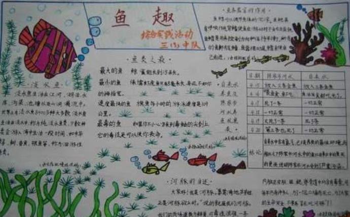 手抄报的鱼怎么画 怎样画鱼呀?