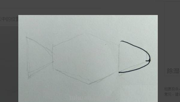 手抄报的鱼怎么画 怎样画鱼呀？