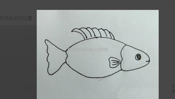 手抄报的鱼怎么画 怎样画鱼呀？
