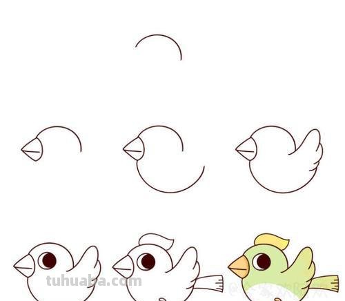 每日一画 简笔画 小鸟 180905