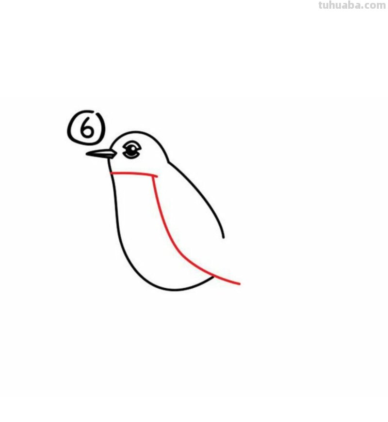 每日一画 简笔画 小鸟 180905