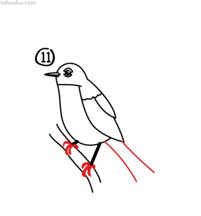 每日一画 简笔画 小鸟 180905