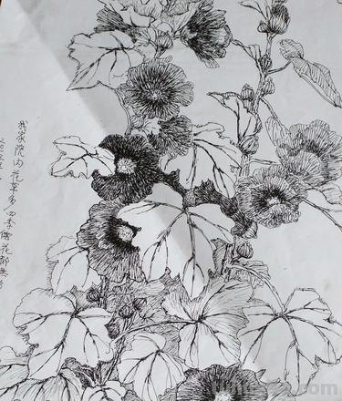 花草速写组合 花鸟速写教程？