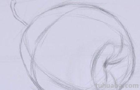 梨子怎么画简笔画图片 如何画梨子简笔画？