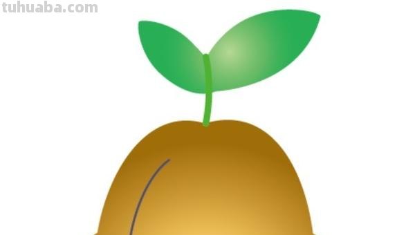 梨子怎么画简笔画图片 如何画梨子简笔画？